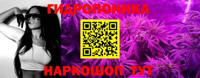 соль ск Гатчина