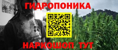 крисы Гай