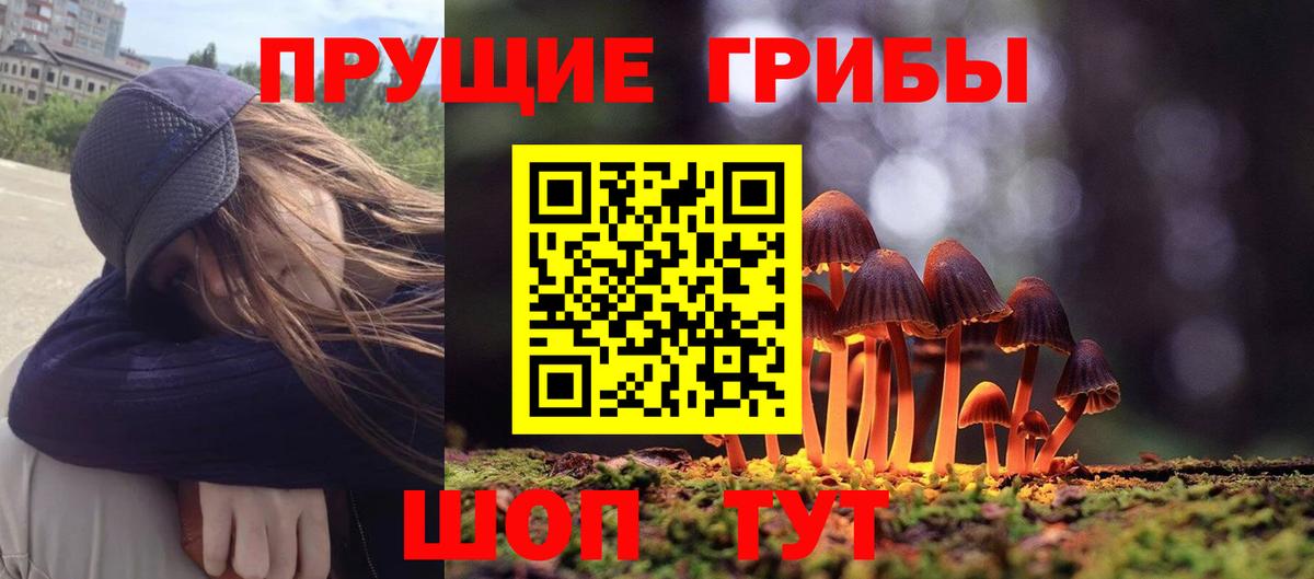 Галлюциногенные грибы Cubensis  купить  сайты  Гагарин  Псилоцибиновые грибы мухоморы  Вход с VPN 